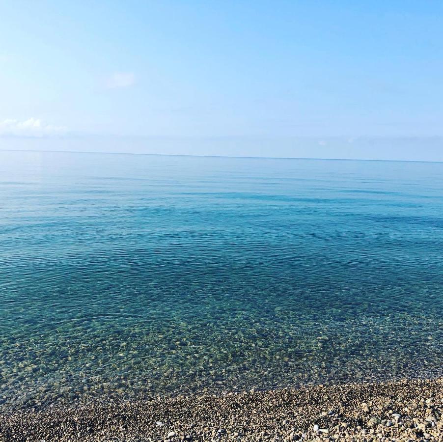 Anastasia Gudauta Dış mekan fotoğraf